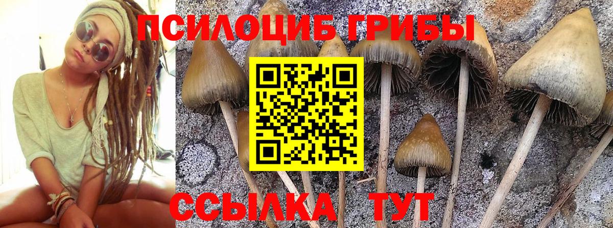 Сочи  Псилоцибиновые грибы MAGIC MUSHROOMS  Вход с VPN 